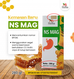 NS MAG 2-min